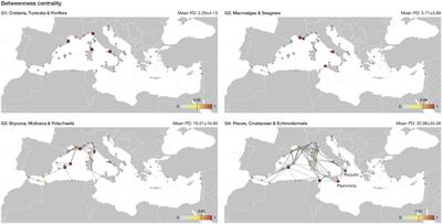 Biophysical modelling and graph theory identify key connectivity hubs in the Mediterranean marine reserve network